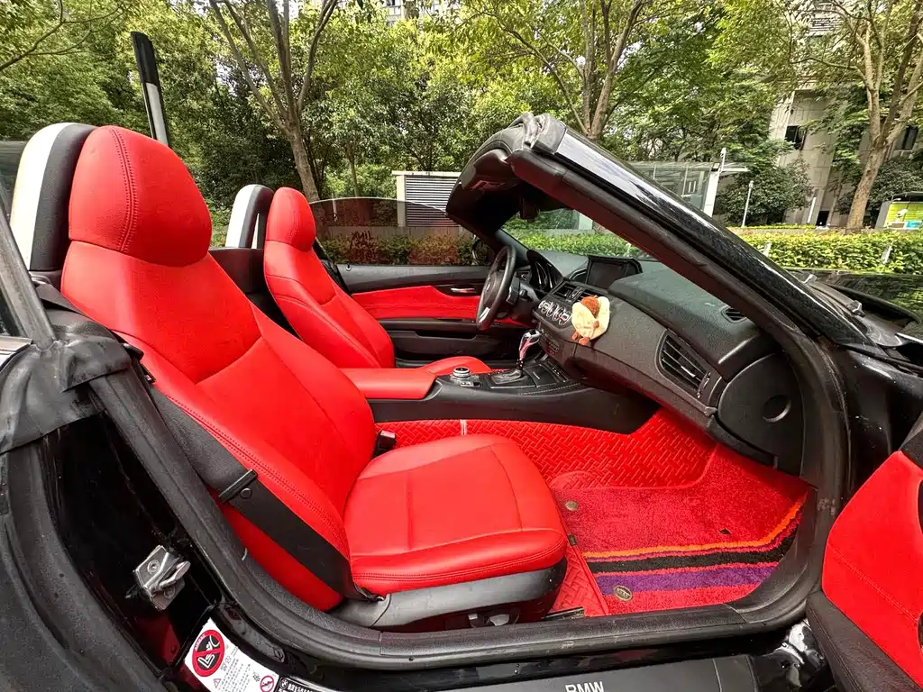 BMW Z4 2009 sDrive23i Lead