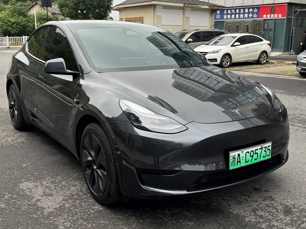 Tesla Model Y — миниатюра 18