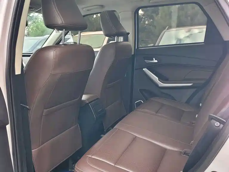 Bisu T3 1.3T Manual Luxury Type, фото 4