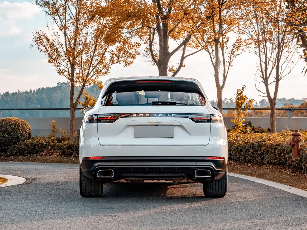 PORSCHE CAYENNE NEW ENERGY