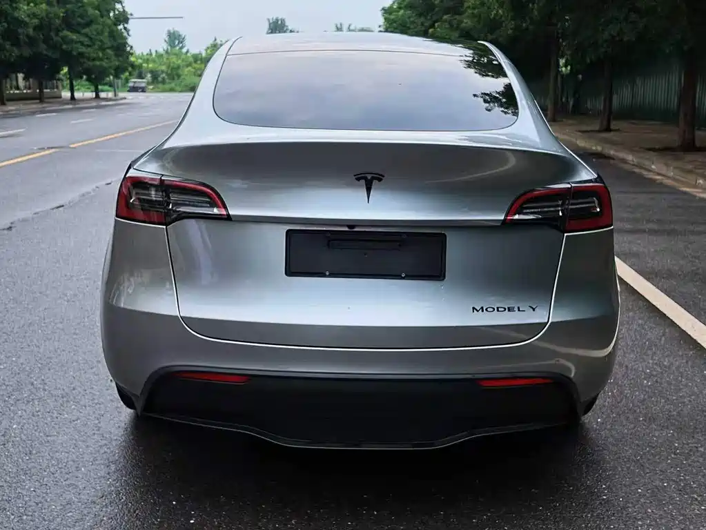 Tesla Model Y — миниатюра 8