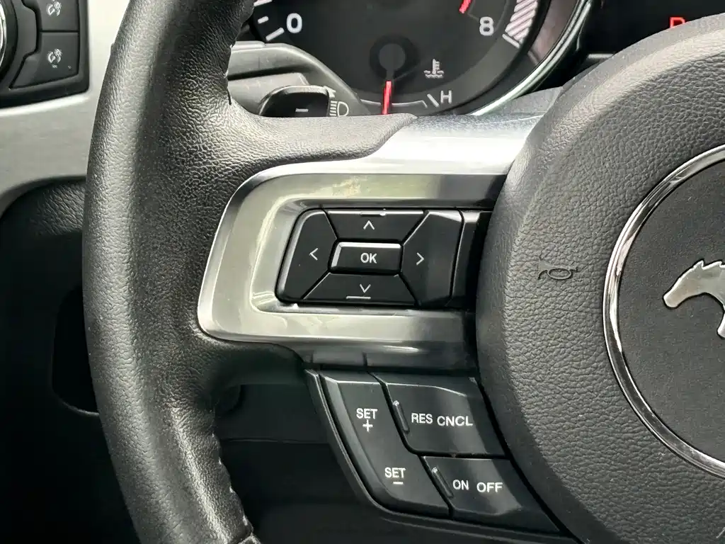 Ford Mustang — миниатюра 14