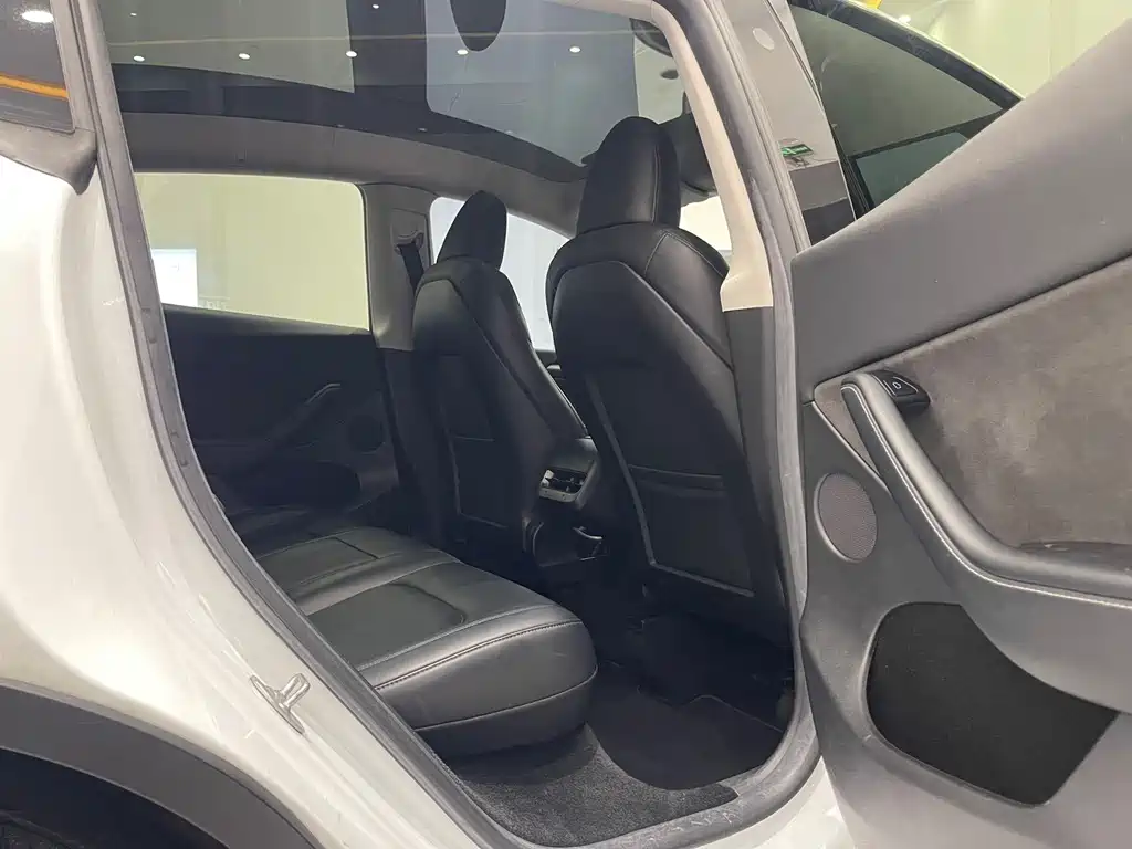 Tesla Model Y — миниатюра 13