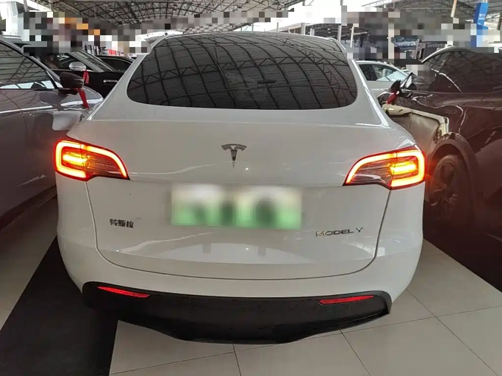 Tesla Model Y — миниатюра 6