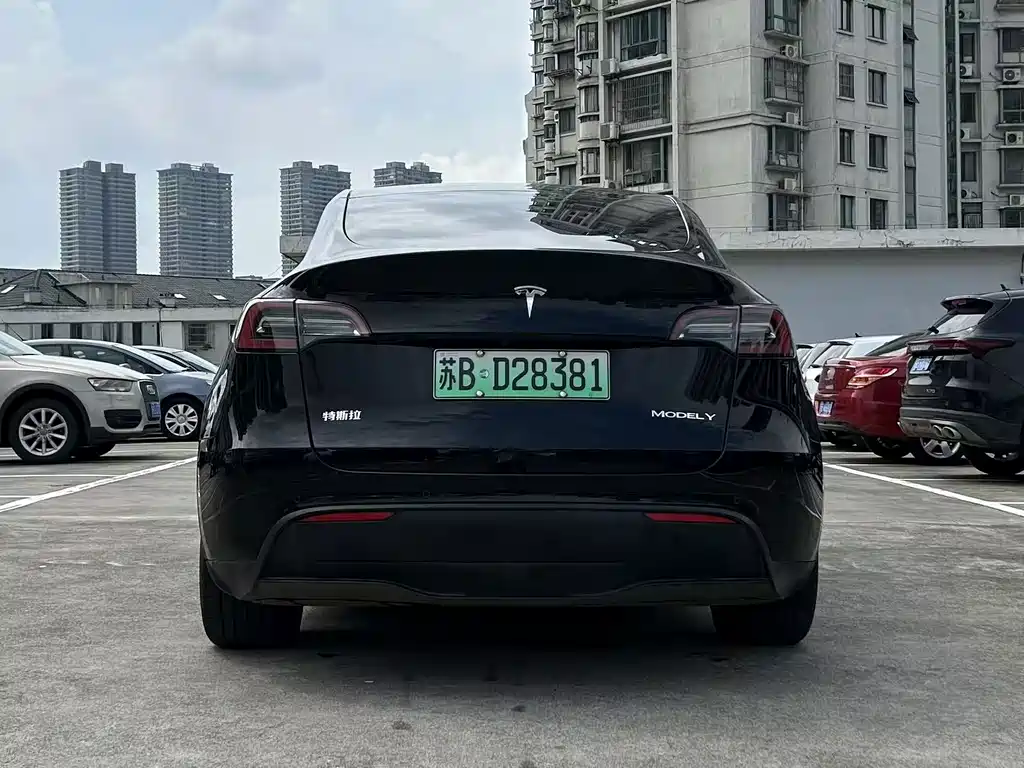 Tesla Model Y — миниатюра 9