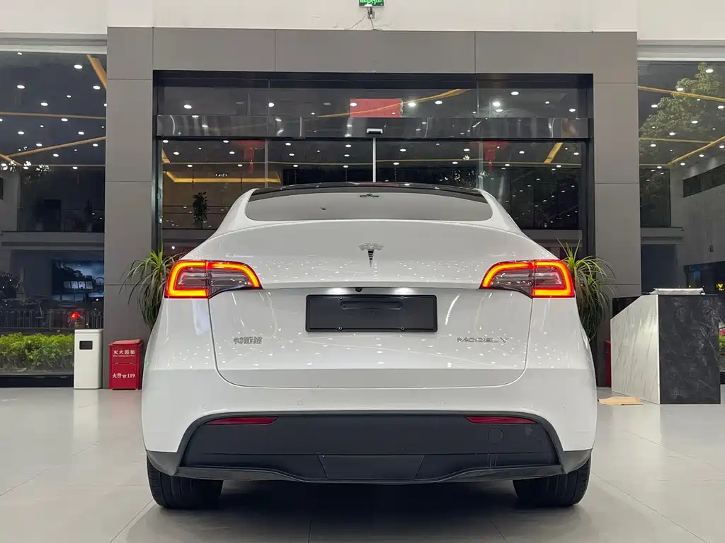 Tesla Model Y — миниатюра 6