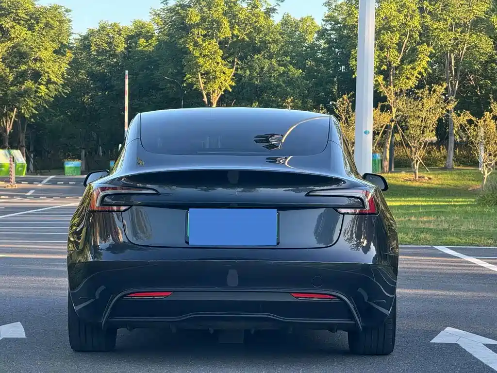 Tesla Model 3 — миниатюра 3