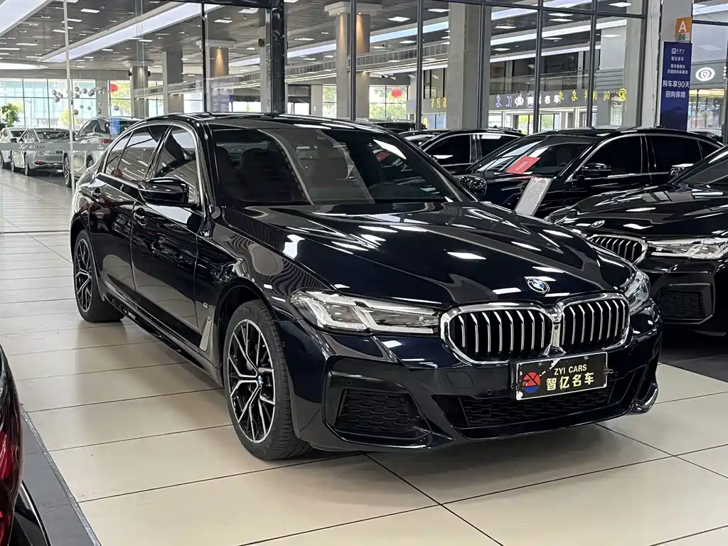 BMW 5 Series — миниатюра 3