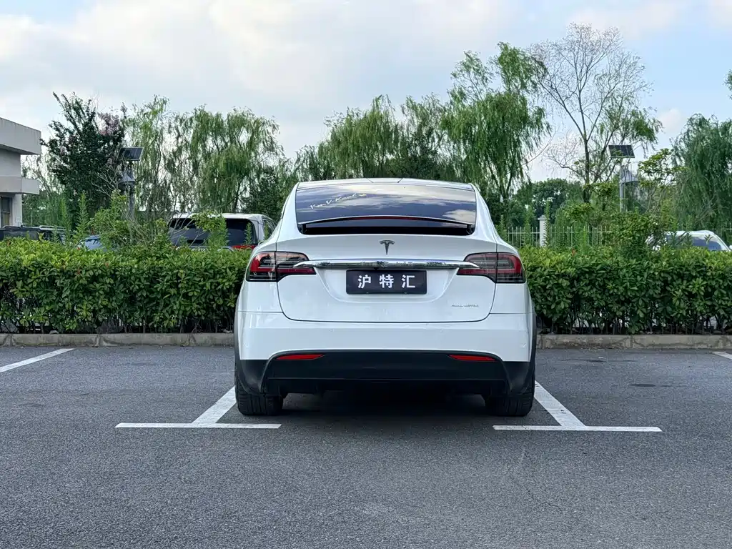Tesla Model X — миниатюра 8