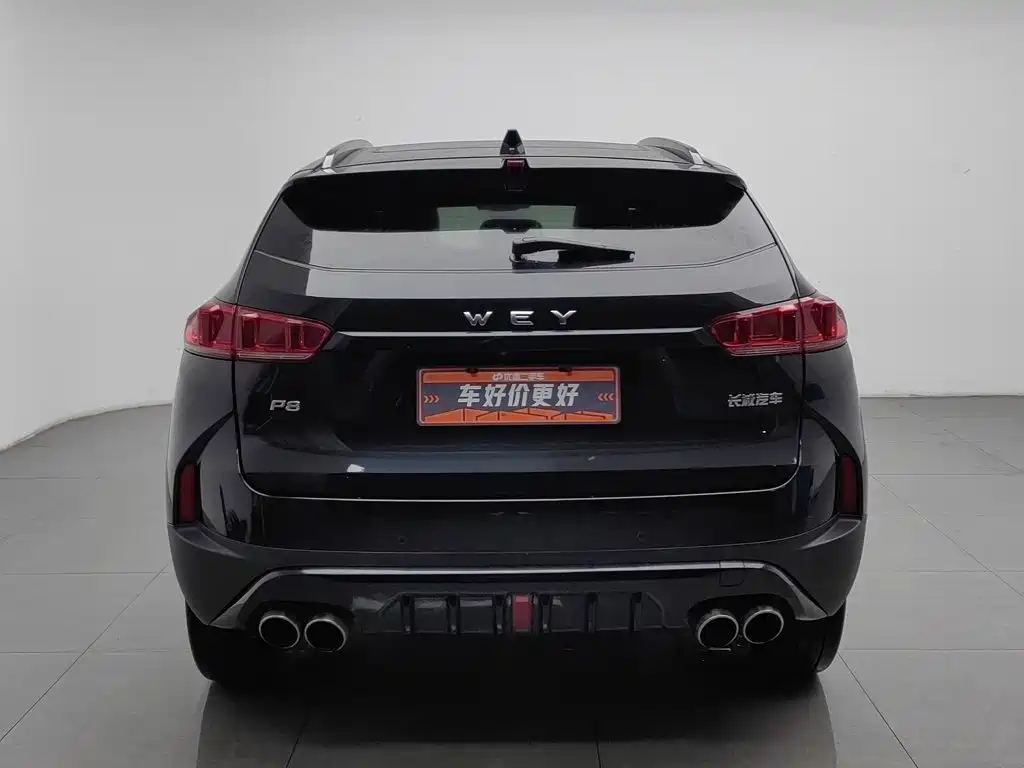 Wey Wey P8 — миниатюра 4