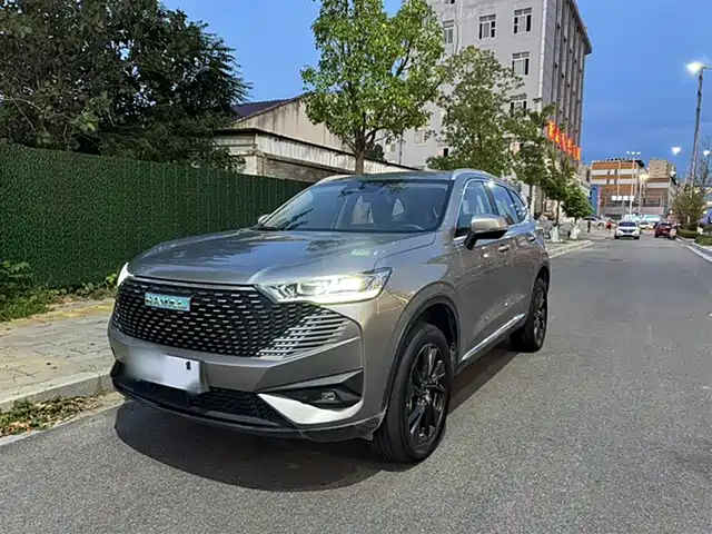 HAVAL H6 NEW ENERGY 2022
