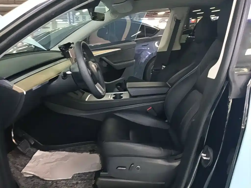 Tesla Model Y — миниатюра 15