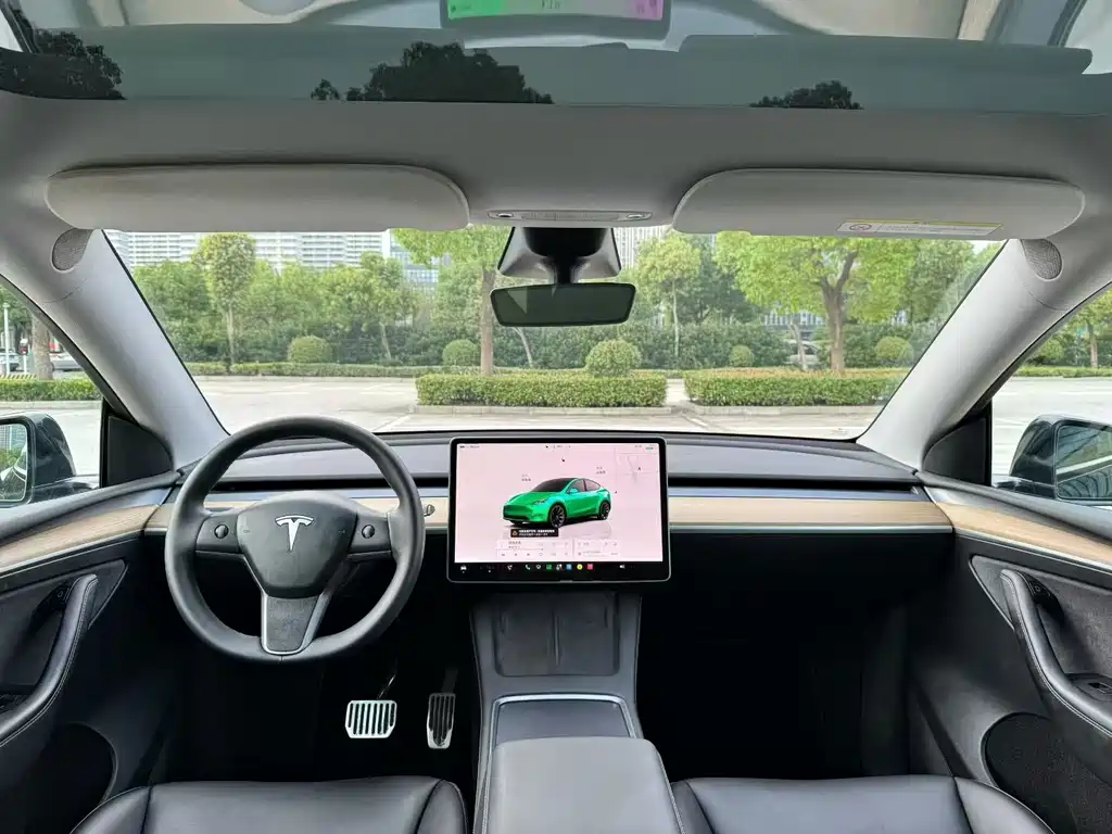 Tesla Model Y — миниатюра 4