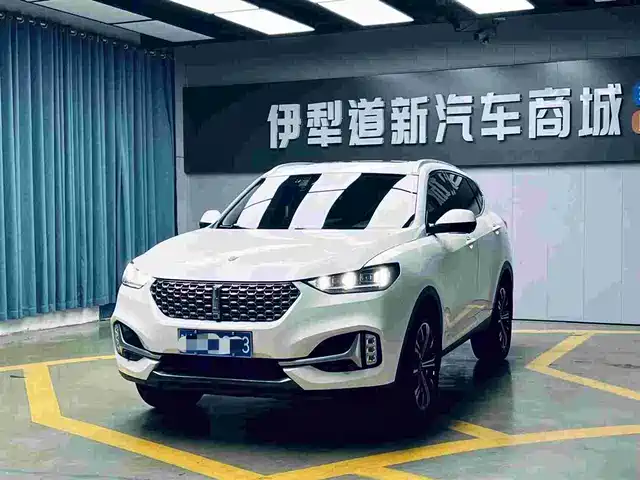 2020 Wey VV6