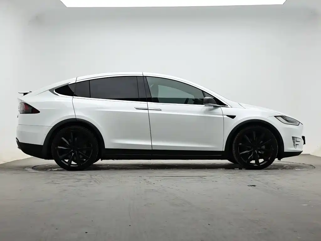 Tesla Model X — миниатюра 6