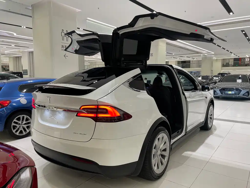 Tesla Model X — миниатюра 3