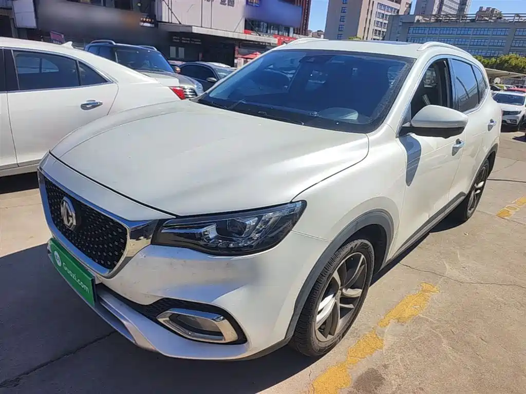 Mg HS 2020