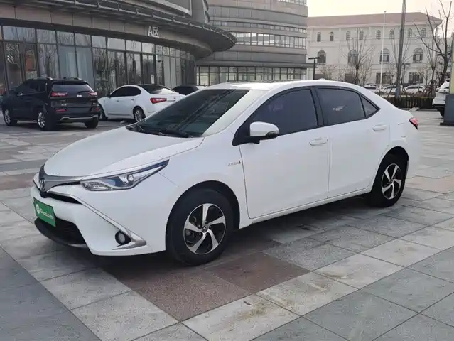 TOYOTA LEI LING 2019