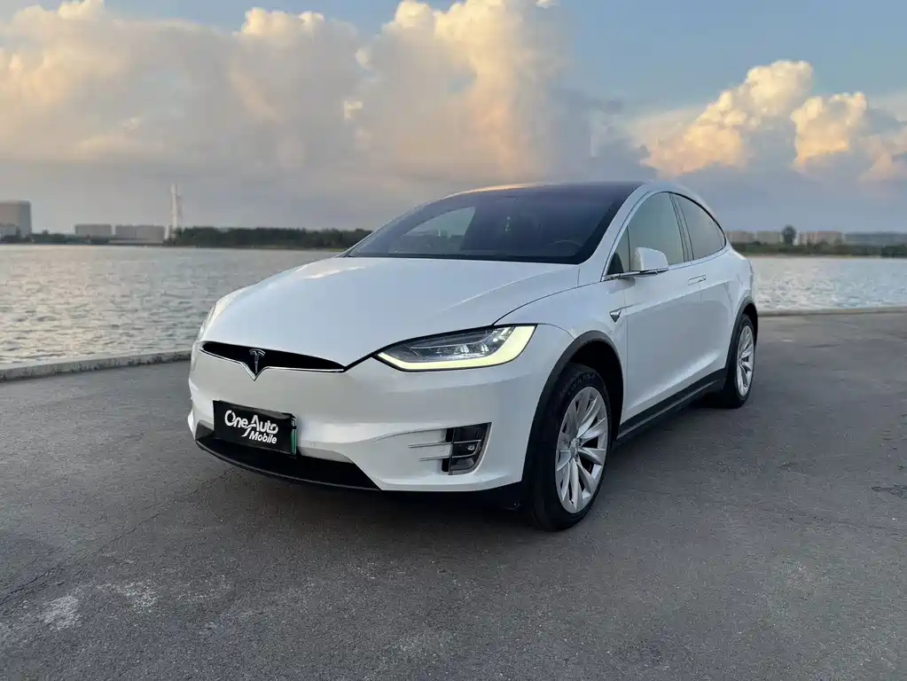 Tesla Model X — миниатюра 8