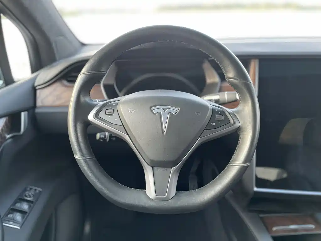Tesla Model X — миниатюра 10