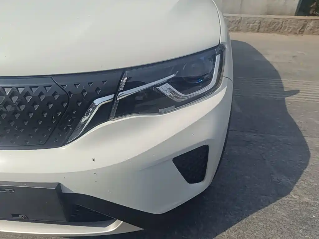 Venucia e30 — миниатюра 24