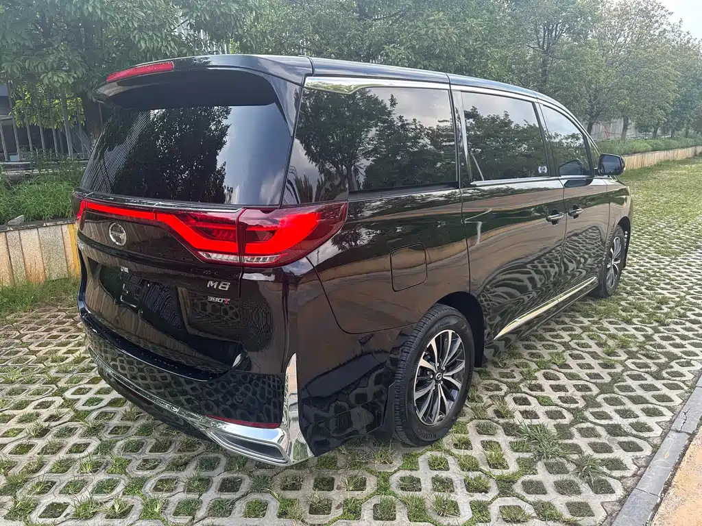 GAC Motor Trumpchi M8 — миниатюра 8