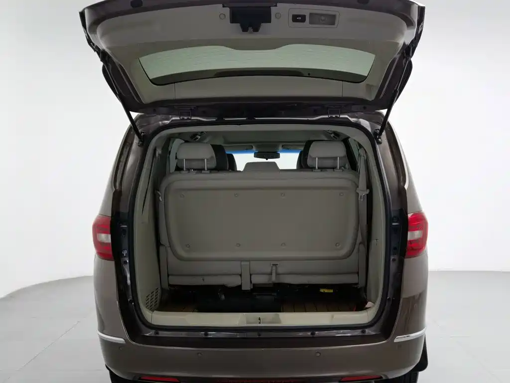 Buick GL8 — миниатюра 16