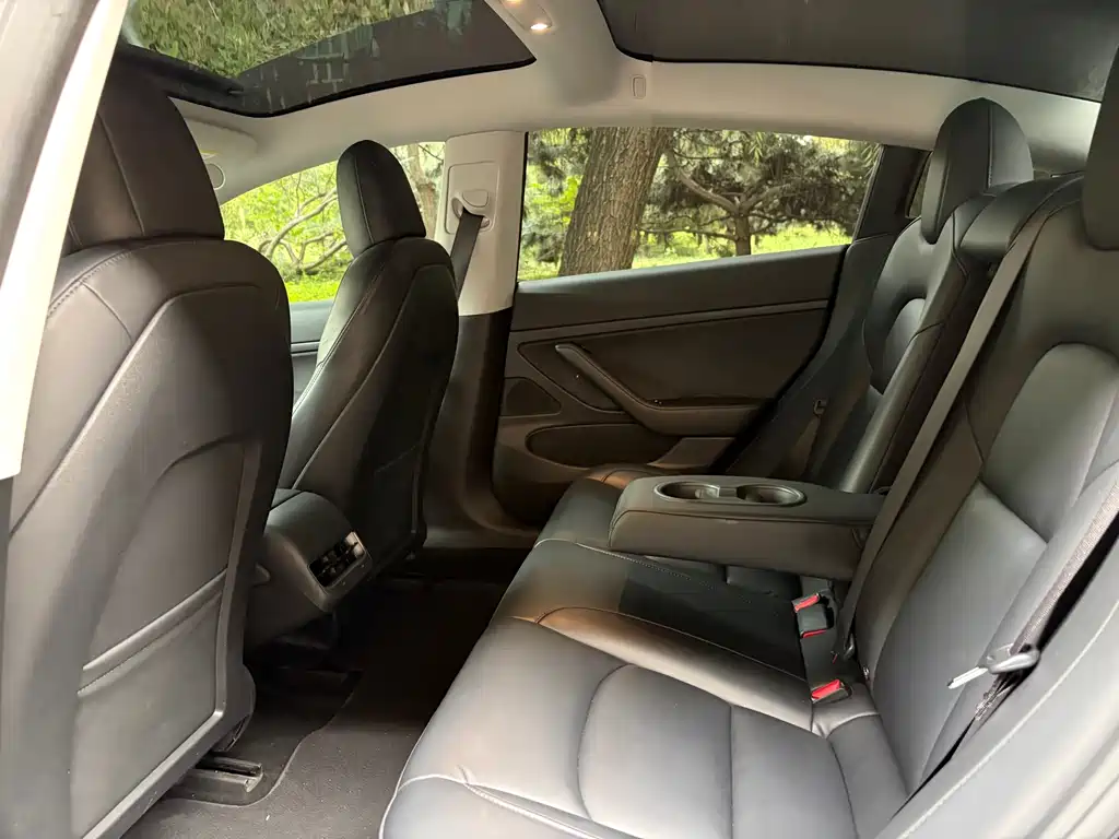 Tesla Model 3 — миниатюра 15