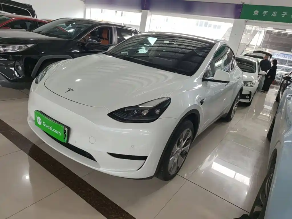 Tesla Model Y — миниатюра 2