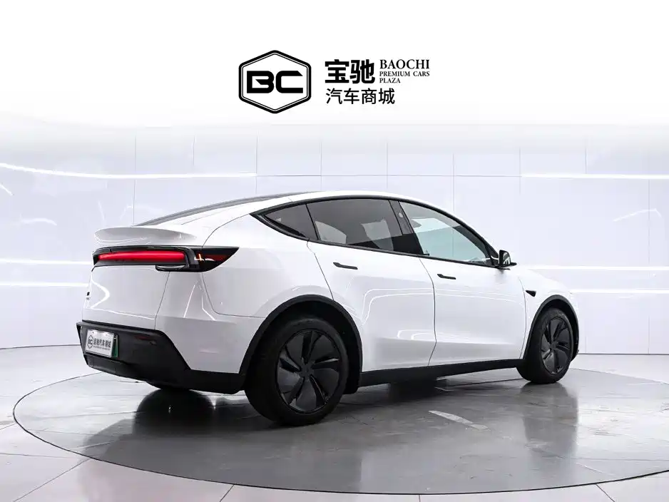 Tesla Model Y — миниатюра 3