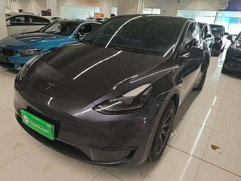 Tesla Model Y — миниатюра 2