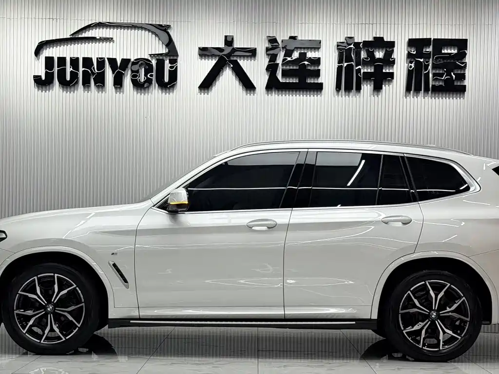 BMW X3 — миниатюра 7