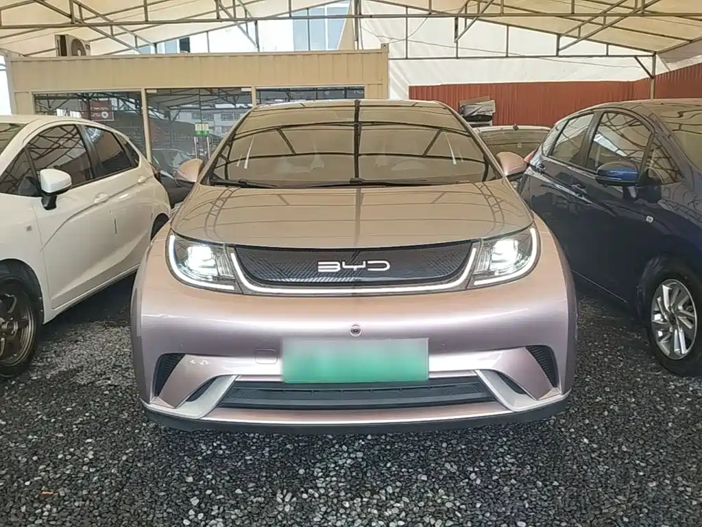 BYD Dolphin — миниатюра 3