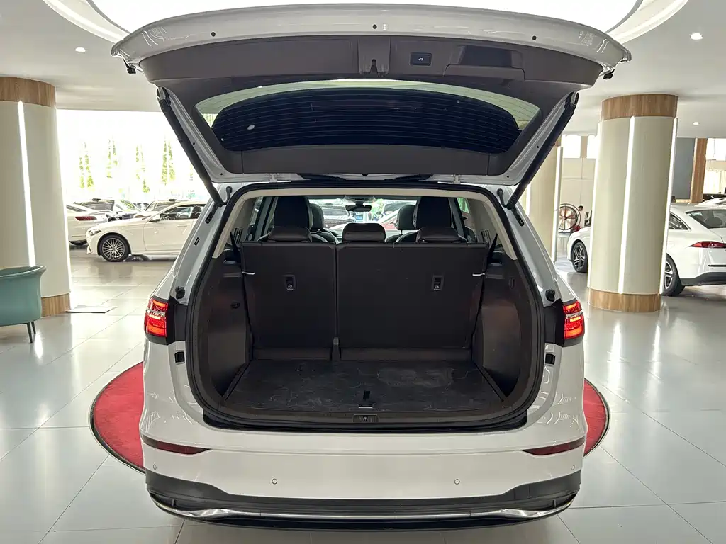 Volkswagen Viloran — миниатюра 9