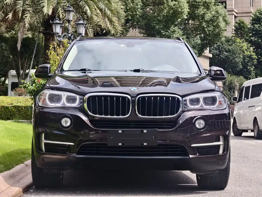BMW X5 (Import) — миниатюра 3