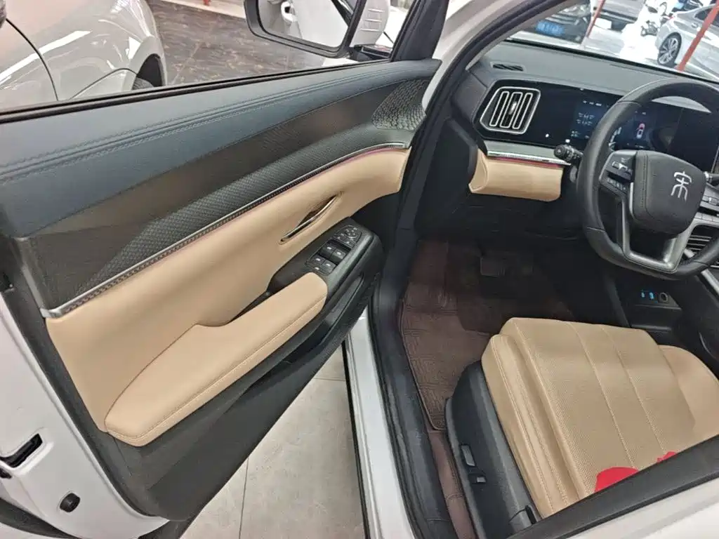 BYD Pro New Energy — миниатюра 16
