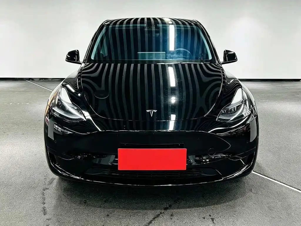 Tesla Model Y — миниатюра 2