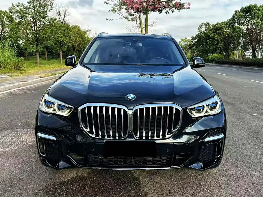BMW X5 — миниатюра 2