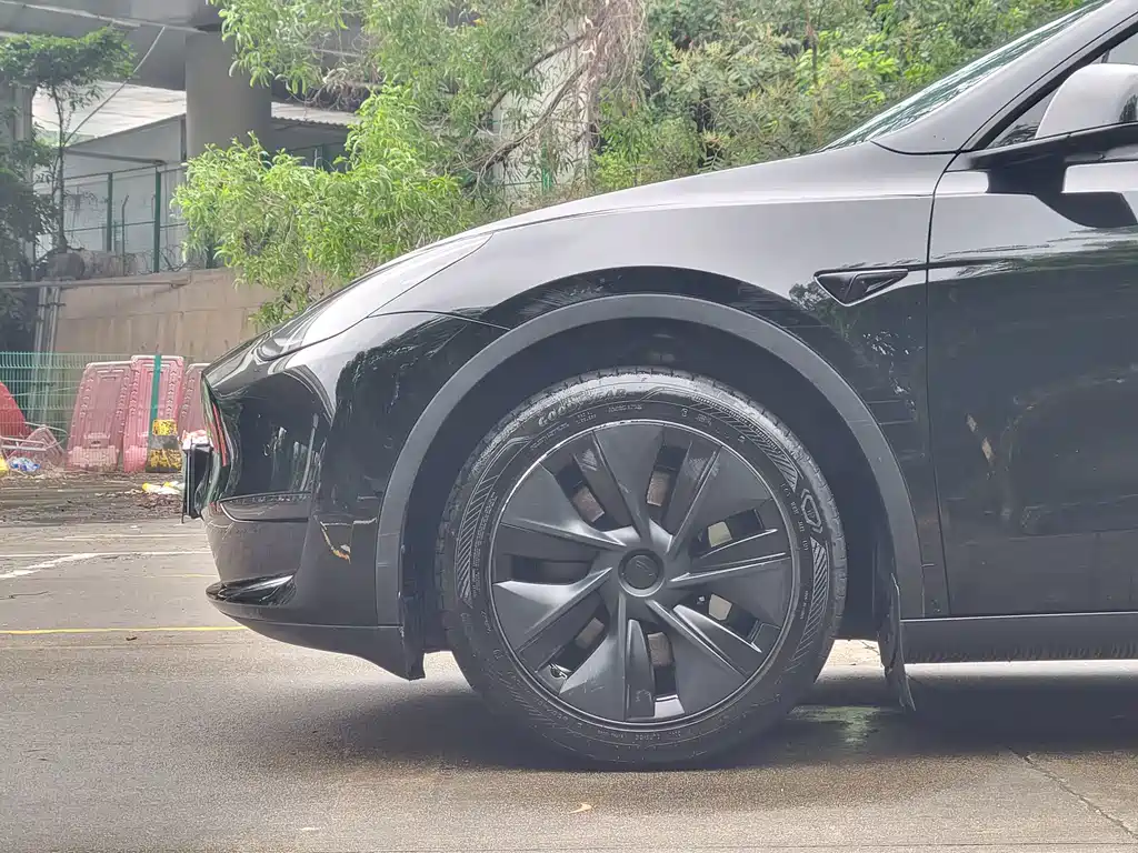 Tesla Model Y — миниатюра 24