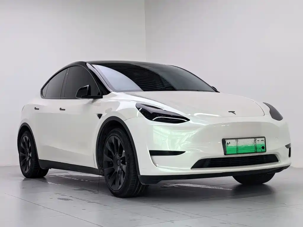 Tesla Model Y — миниатюра 3
