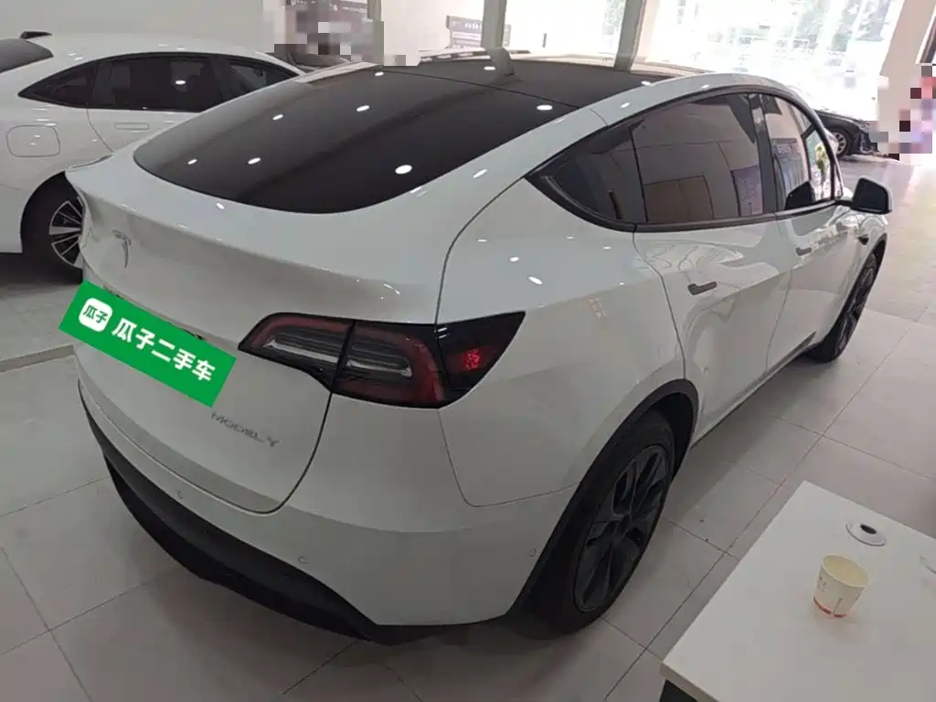 Tesla Model Y — миниатюра 7
