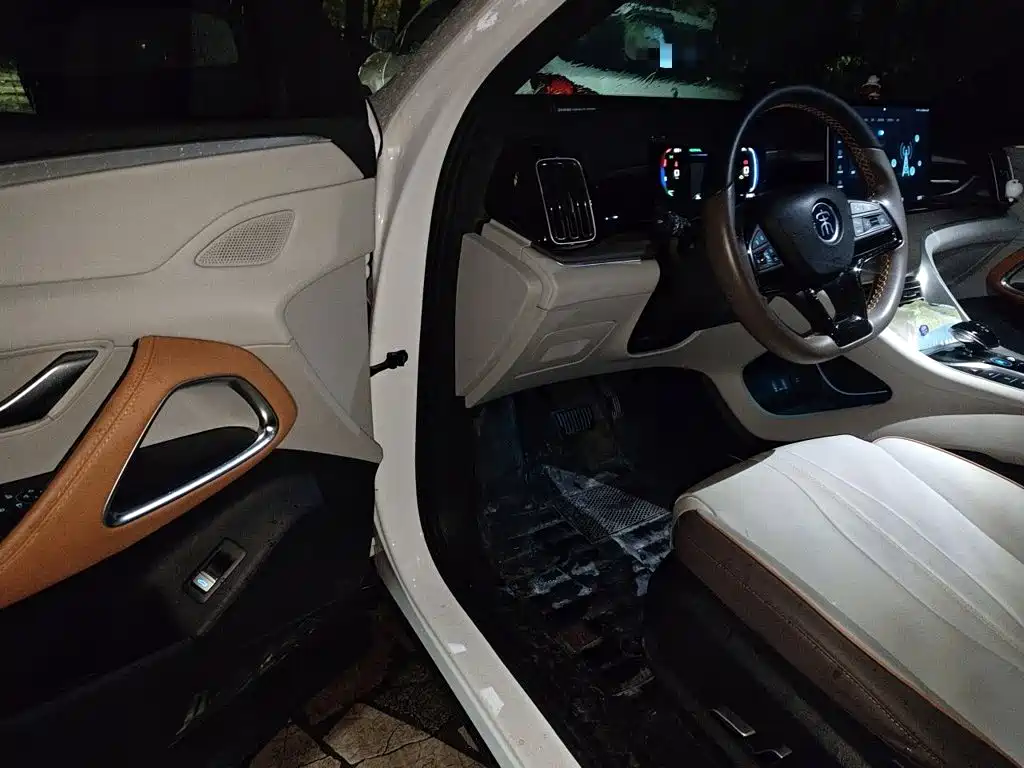 BYD Pro New Energy — миниатюра 12