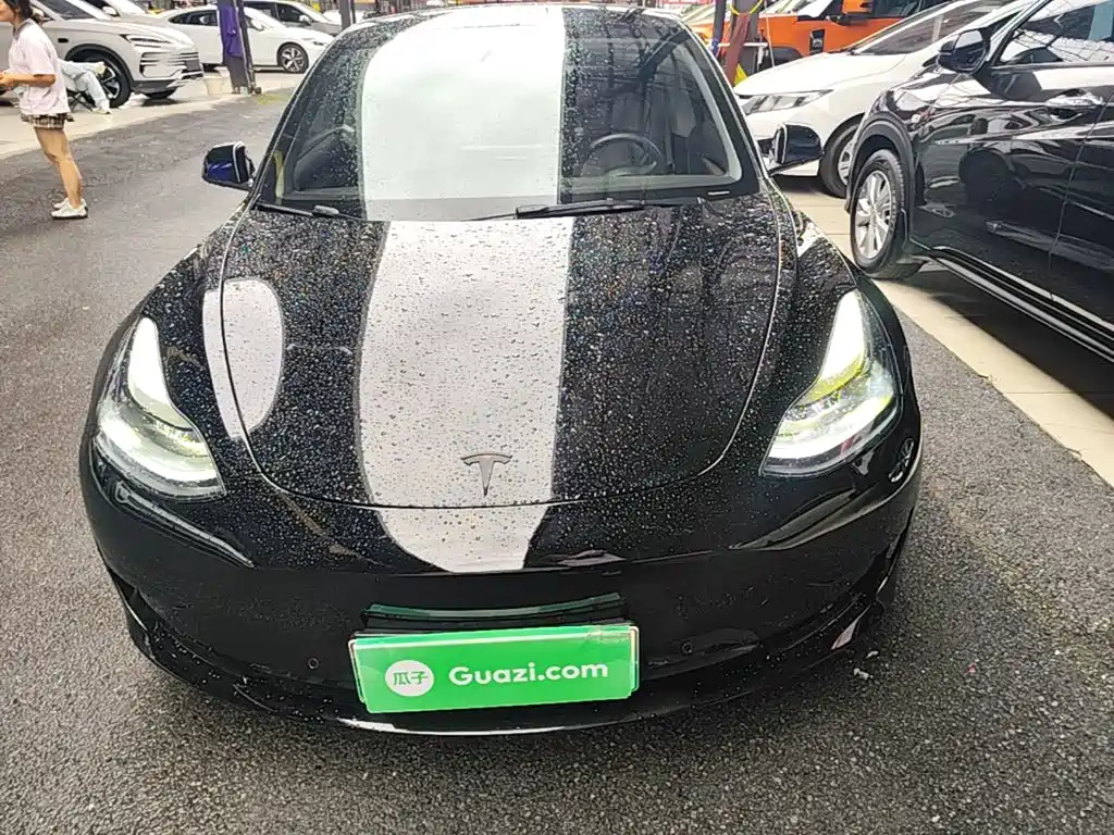 Tesla Model 3 2021 3D6