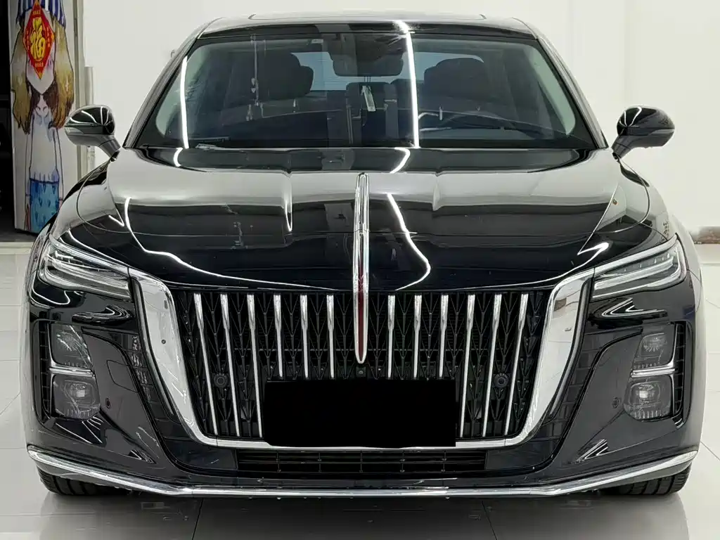 Hongqi Hongqi H5 — миниатюра 2