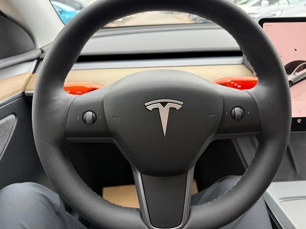 Tesla Model Y — миниатюра 7