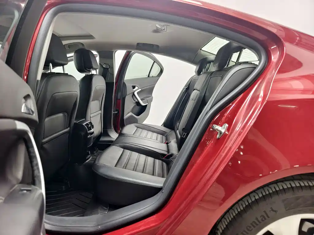 Buick Regal — миниатюра 13