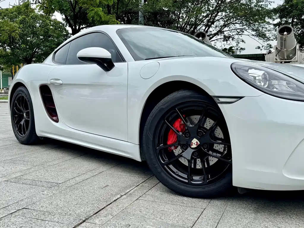 Porsche 718 — миниатюра 21
