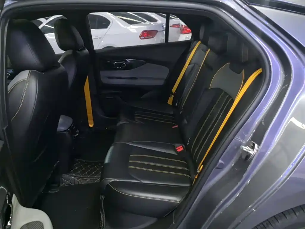 GAC Motor Shadow Leopard — миниатюра 17