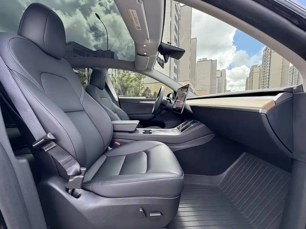 Tesla Model Y — миниатюра 5