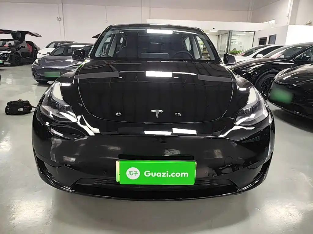Tesla Model Y — миниатюра 3